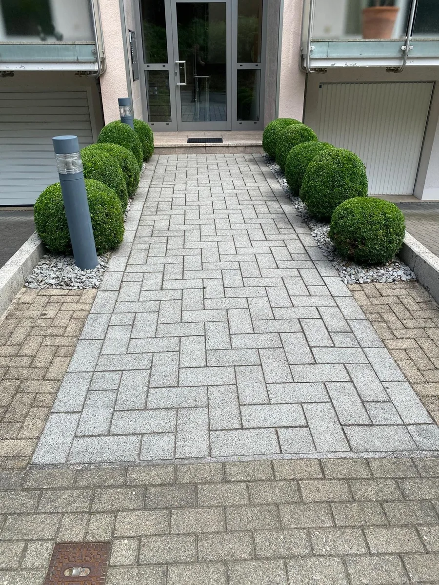 Sauberer Zugangsweg zu einem Mehrfamilienhaus mit geschnittenen Buchsbaumkugeln links und rechts