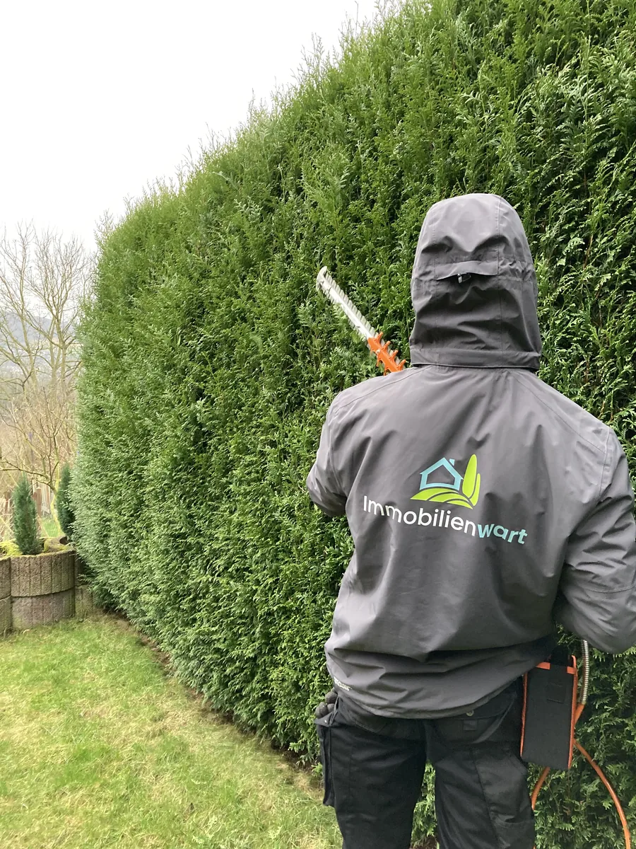 Mitarbeiter von Immobilienwart schneidet von hinten fotografiert eine hohe Hecke mit der Heckenschere