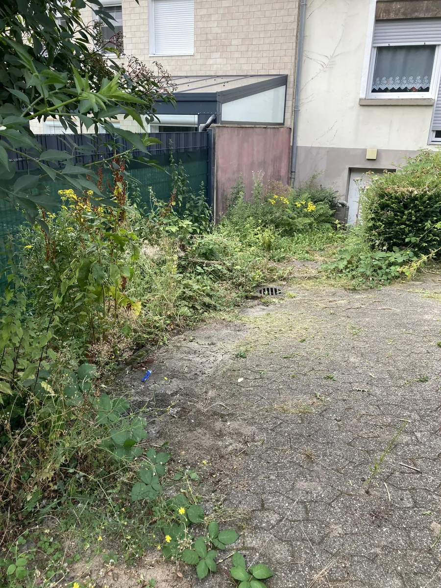 Hinterhof vor der Gartenpflege