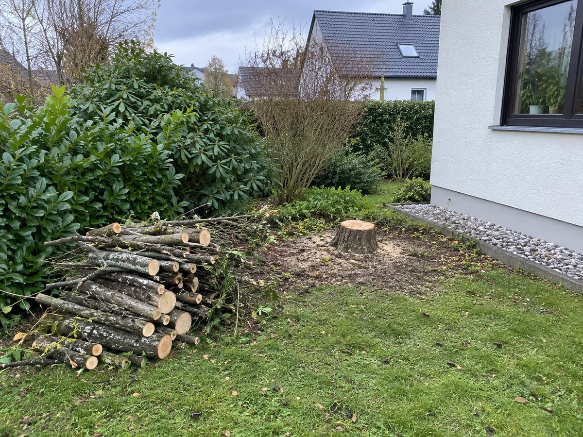 KI-generiertes Beispielbild: Baumstumpf und geordnetes Schnittgut in einem Garten