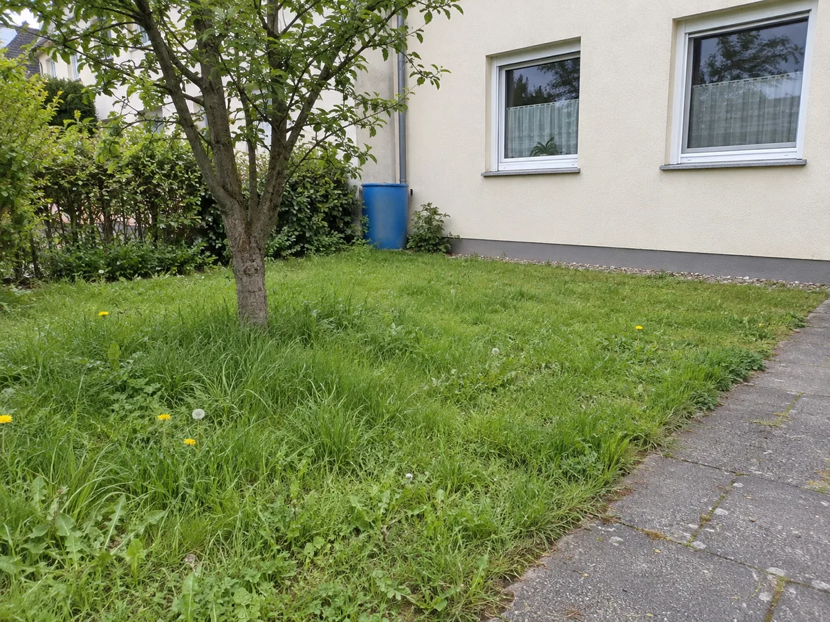 KI-generiertes Beispielbild: hoch gewachsener Rasen an einem Wohnhaus